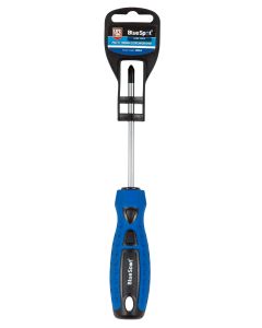 Blue Spot Tools PH2 x 100mm Screwdriver